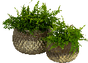 18055A97 + 18056A97.png