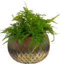 18055A97-1.png