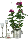 ROSES Teelicht-Aufsatzglas 10,5 cm Glas klar
