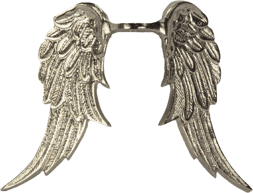 [24080F99] CUPID Angel Wings 16 cm Metal antique-silver