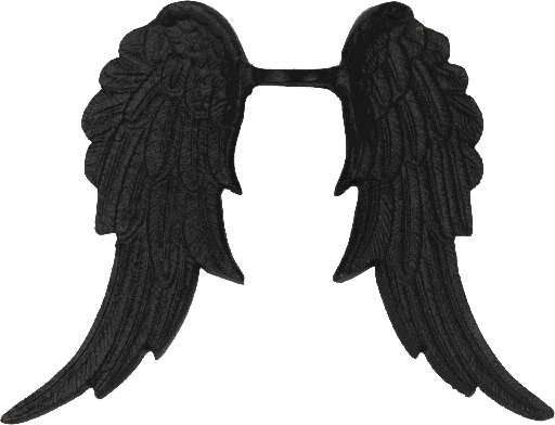 [24081F70] CUPID Angel Wings 24,5 cm Metal black