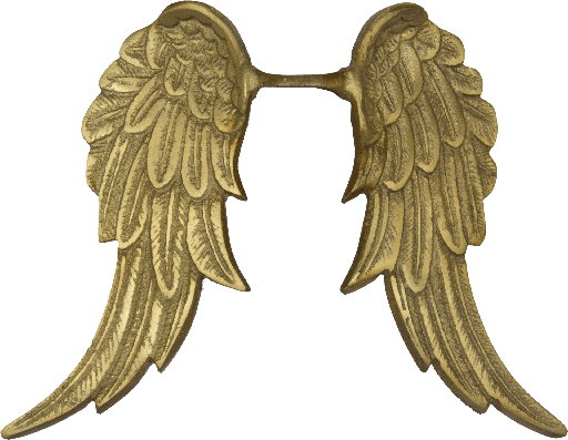 [24081F90] CUPID Angel Wings 24,5 cm Metal brass