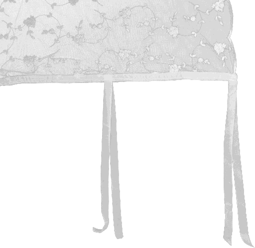 [50081F66] MIRIAM Vorhang mit Samtschleifen 180 x 280 cm