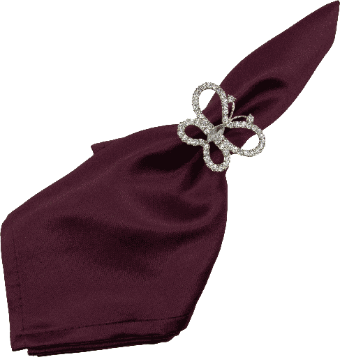 [00117A99] PAPILLON Napkinring Metal silver