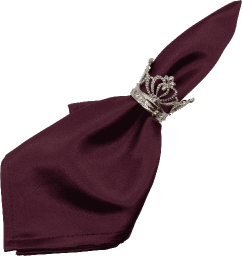 [22202A99] ROYAL Serviettenring Metall silber